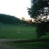 On June 22, the sun sets behind the near tree branches.